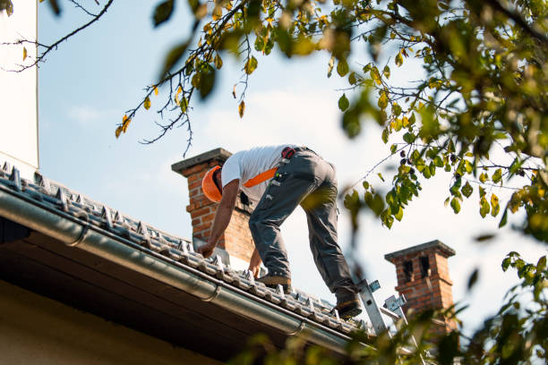 Best Roof Gutter Cleaning  in High Bridge, NJ